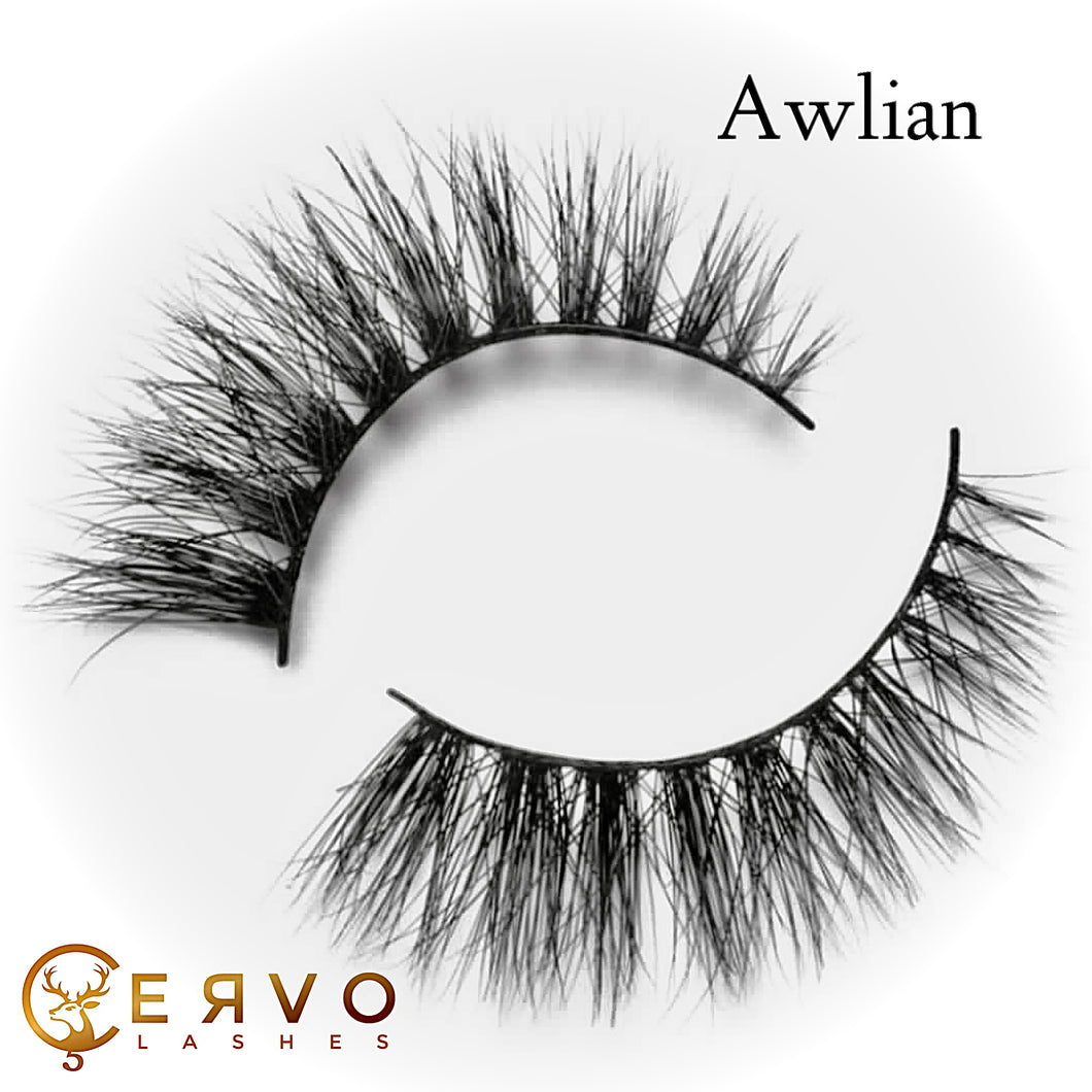Awlian